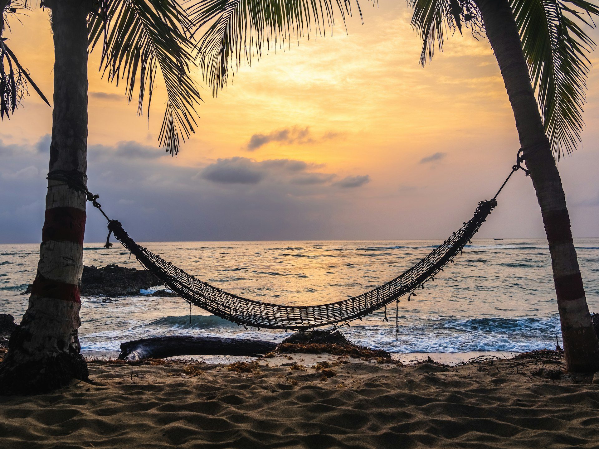 A daybed slung between palms