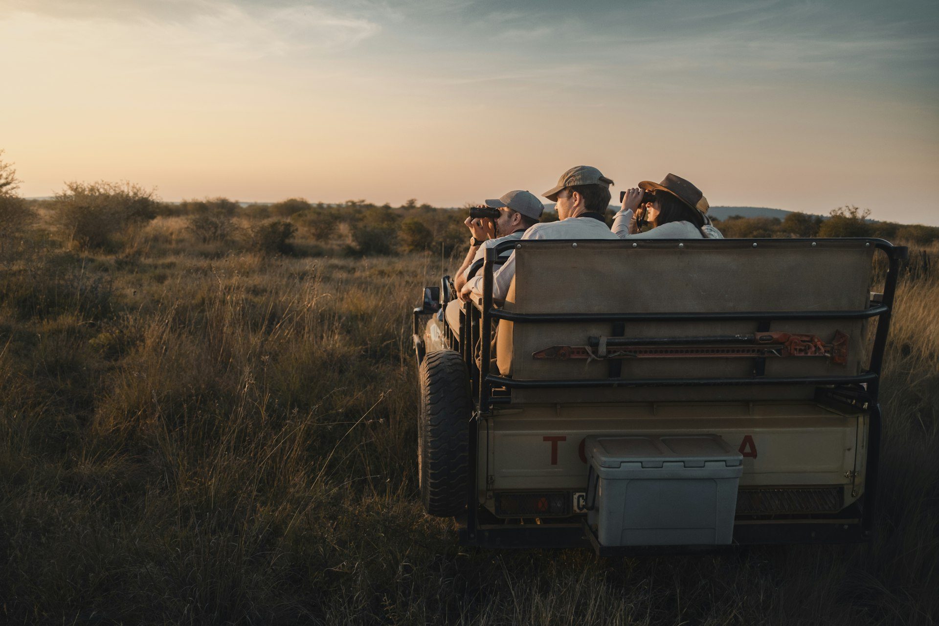 A family watching wildlife at sunset