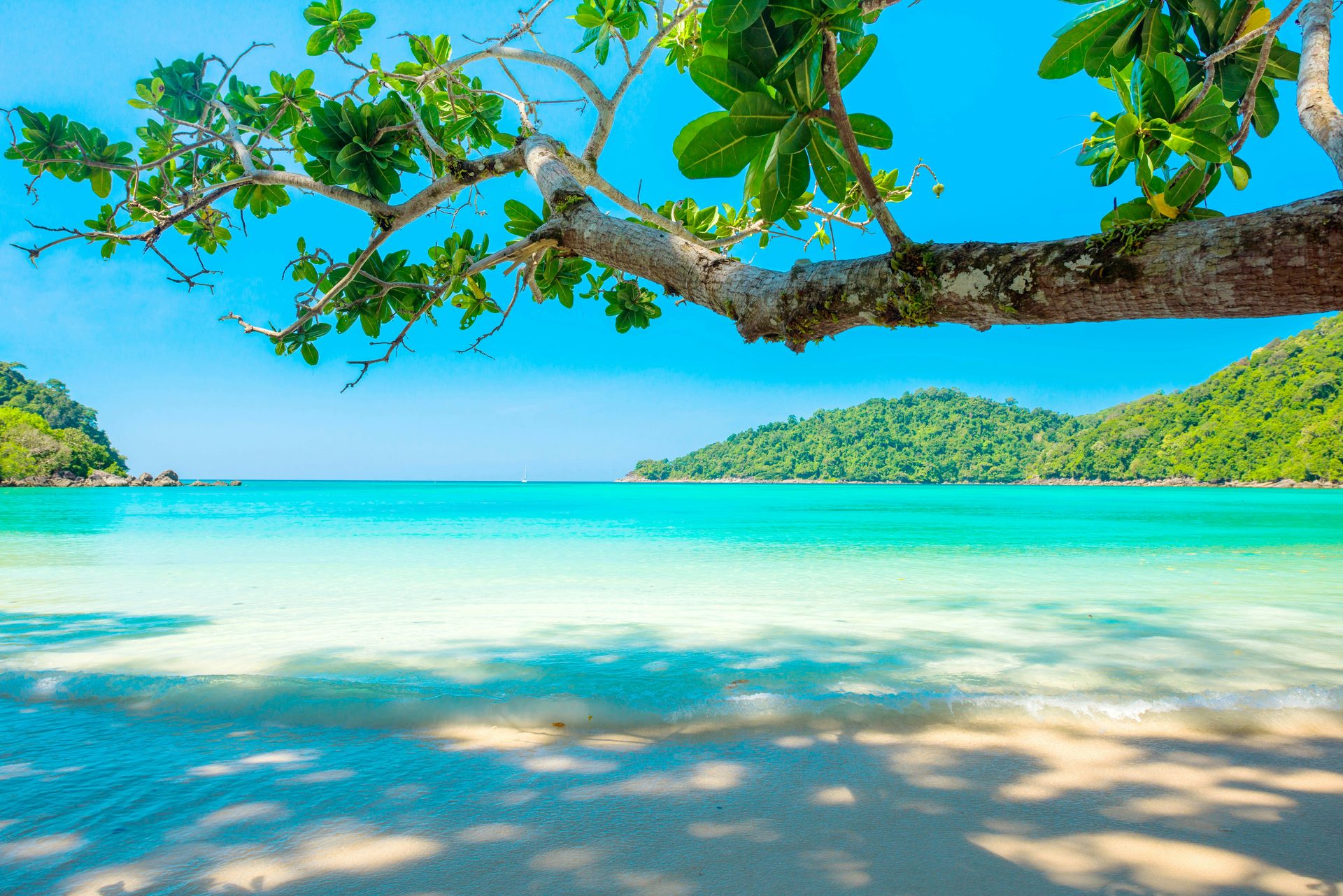 A half-underwater view of a tropical lagoon