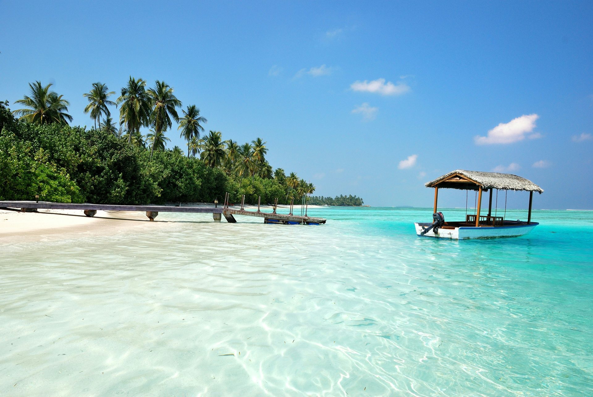 Wooden boats moored in a palm-fringed lagoon