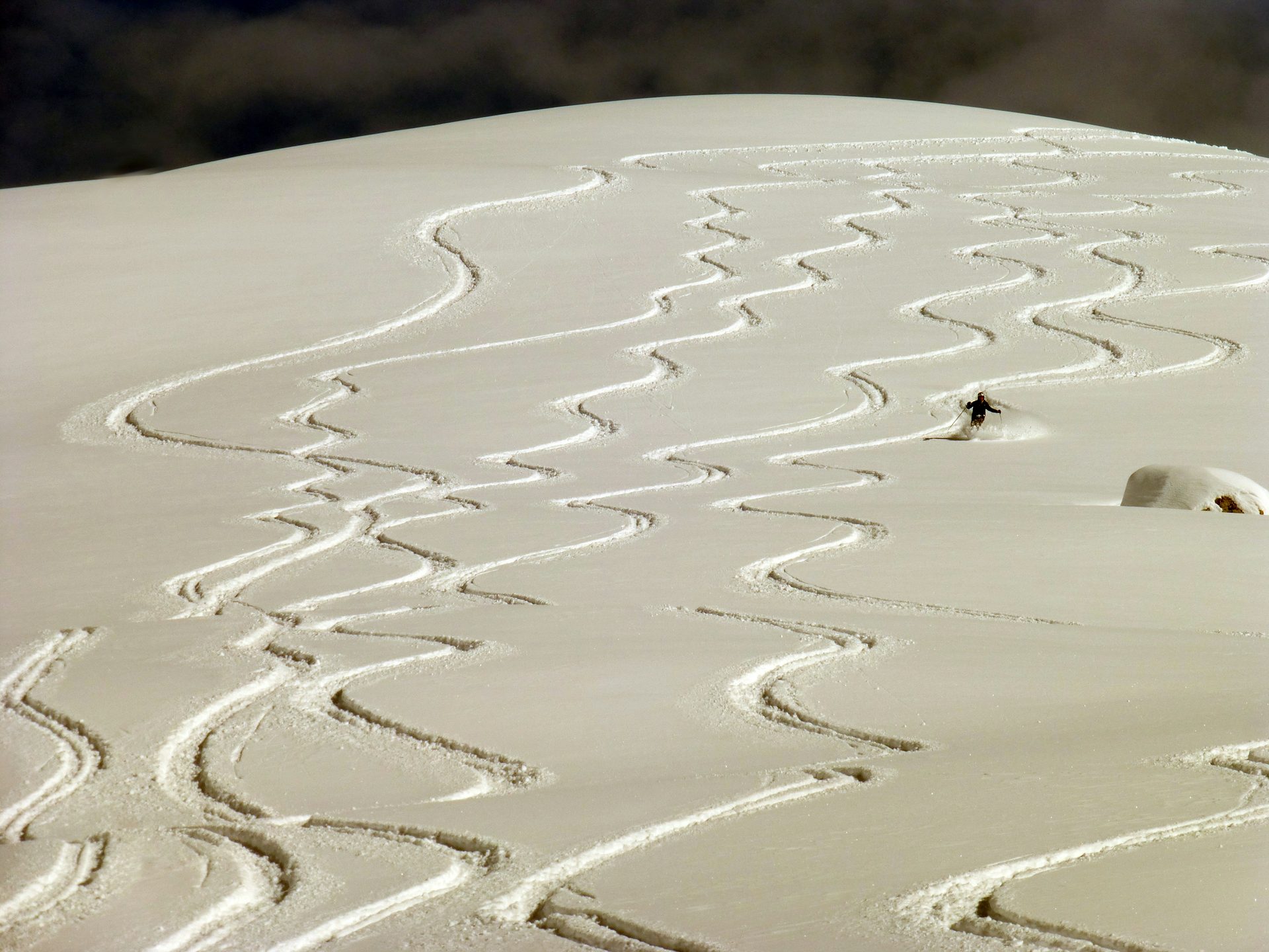 A snowboarder carving patterns in fresh snow