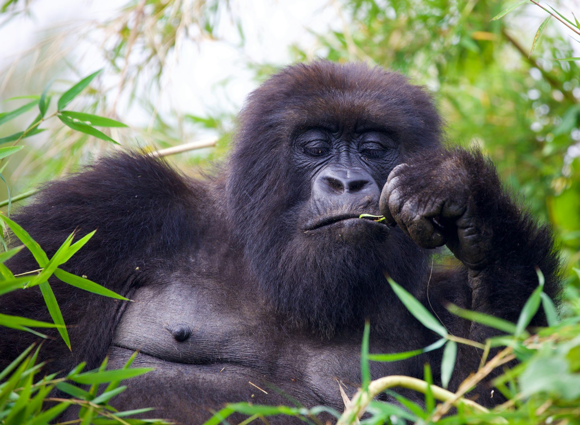 Rwanda