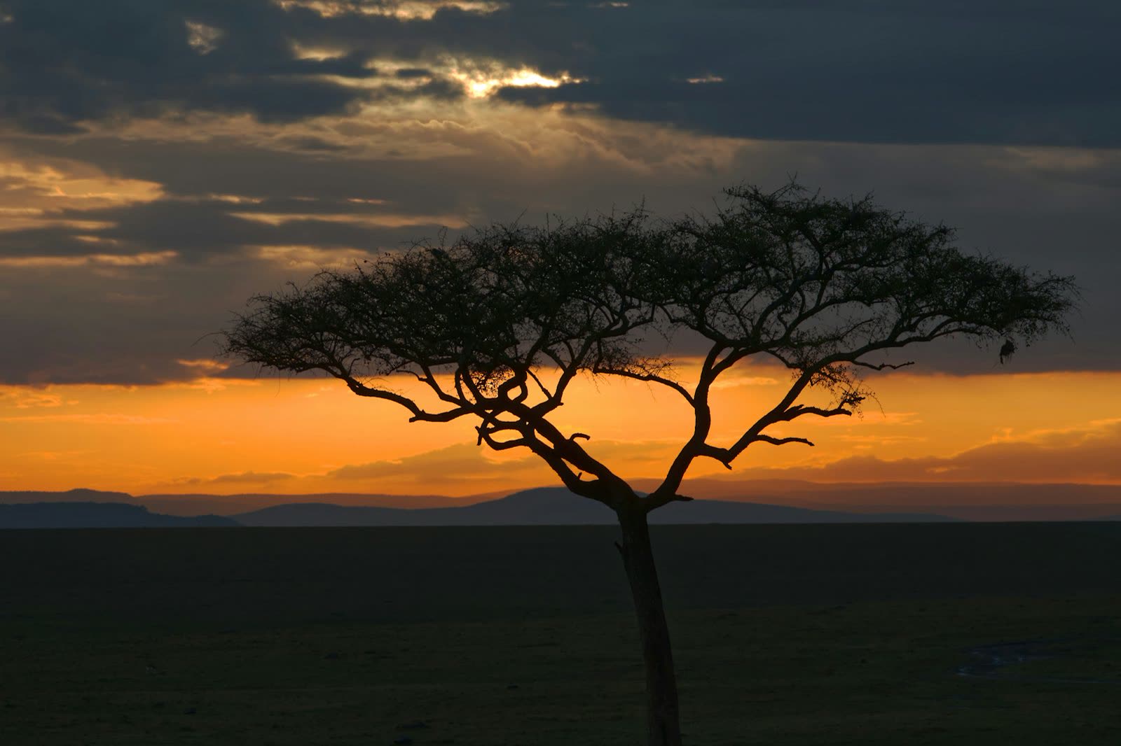 Serengeti, Tanzania
